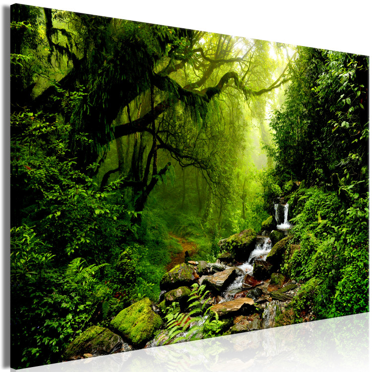 Large canvas print Enchanted Backwoods [Large Format] 149039 additionalImage 3