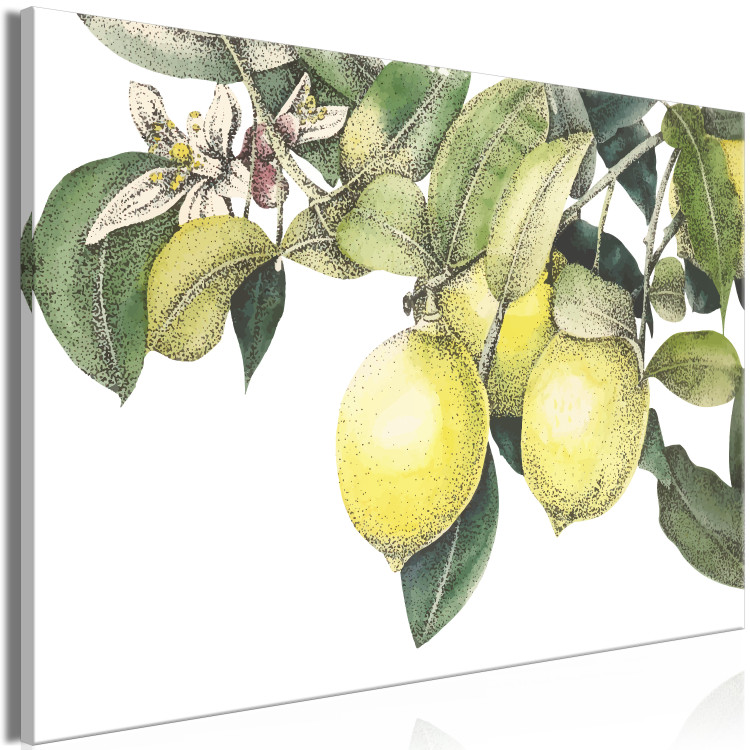 Canvas Print Lemons and Leaves (1-piece) - colorful citrus fruits on a tree 149639 additionalImage 2