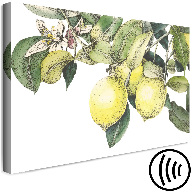 Canvas Print Lemons and Leaves (1-piece) - colorful citrus fruits on a tree 149639 additionalImage 6