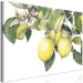 Canvas Print Lemons and Leaves (1-piece) - colorful citrus fruits on a tree 149639 additionalThumb 2