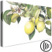 Canvas Print Lemons and Leaves (1-piece) - colorful citrus fruits on a tree 149639 additionalThumb 6