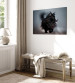 Canvas Art Print AI Maine Coon Cat - Walking Animal With Long Black Hair - Horizontal 150139 additionalThumb 4