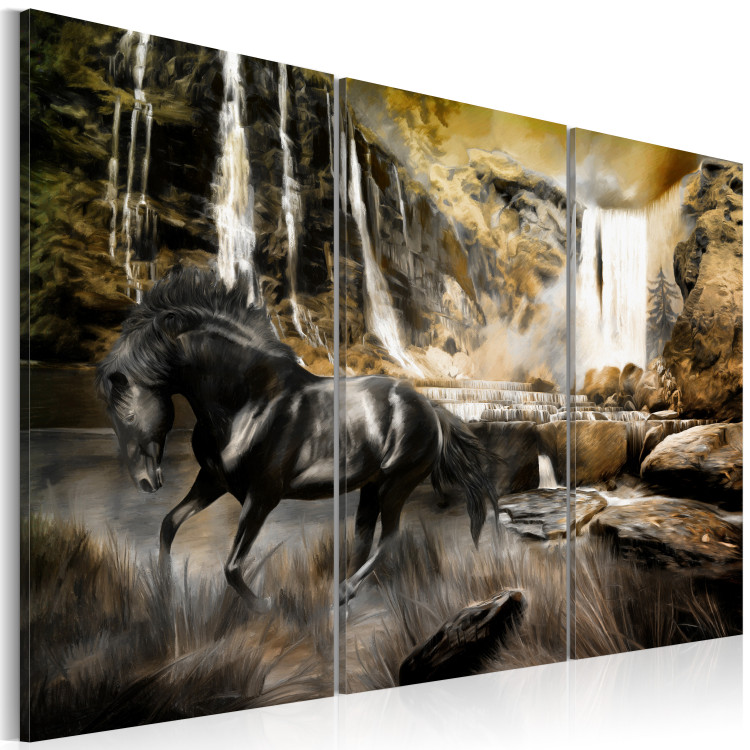 Canvas Print Black horse and rocky waterfall 55639 additionalImage 2