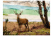 Wall Mural Forest fugitive 59739 additionalThumb 1