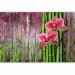 Photo Wallpaper Centered Orchids - Floral Motif on a Wooden Background with Bamboo 60239 additionalThumb 5