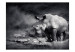 Photo Wallpaper Peace of Animals - Black and white motif of a solitary rhinoceros on the savannah 61339 additionalThumb 1