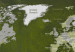 Decorative Pinboard Malachite World [Cork Map] 93939 additionalThumb 5