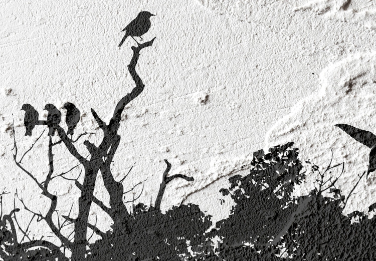 Poster Shadow of Nature - black and white landscape of tree and birds on a rough background 117249 additionalImage 9