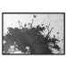 Poster Shadow of Nature - black and white landscape of tree and birds on a rough background 117249 additionalThumb 24