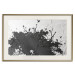 Poster Shadow of Nature - black and white landscape of tree and birds on a rough background 117249 additionalThumb 19