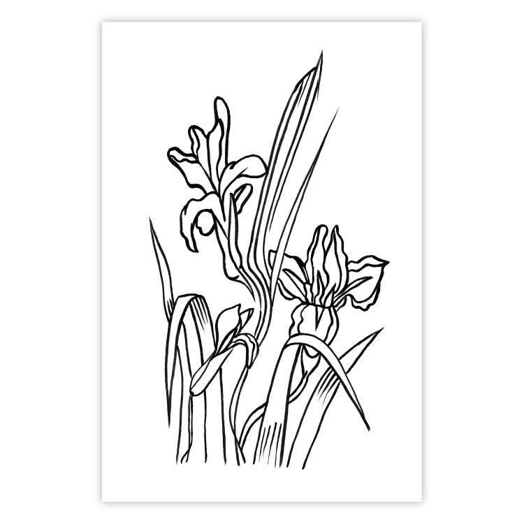 Wall Poster Iris in Love - black and white composition in line art with spring flowers 119049