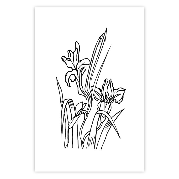 Wall Poster Iris in Love - black and white composition in line art with spring flowers 119049 additionalImage 18