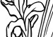 Wall Poster Iris in Love - black and white composition in line art with spring flowers 119049 additionalThumb 11