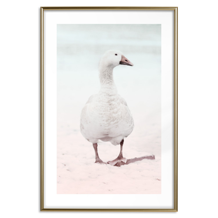 Wall Poster Winter Duckling - white duck walking on sand in winter colors 124949 additionalImage 14