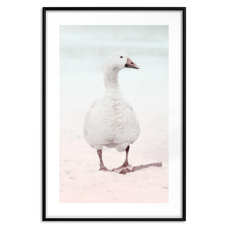 Wall Poster Winter Duckling - white duck walking on sand in winter colors 124949 additionalImage 15
