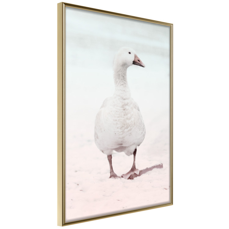 Wall Poster Winter Duckling - white duck walking on sand in winter colors 124949 additionalImage 12