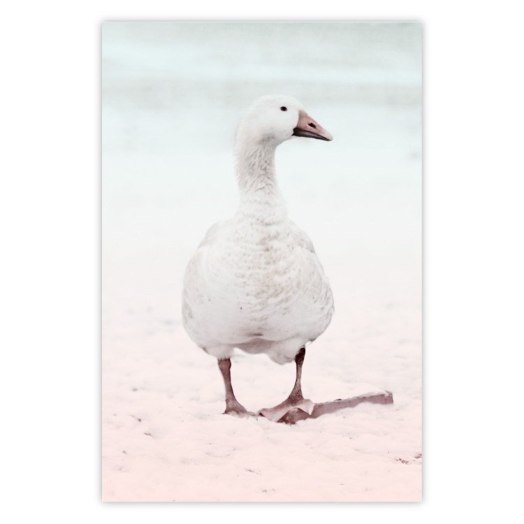 Wall Poster Winter Duckling - white duck walking on sand in winter colors 124949