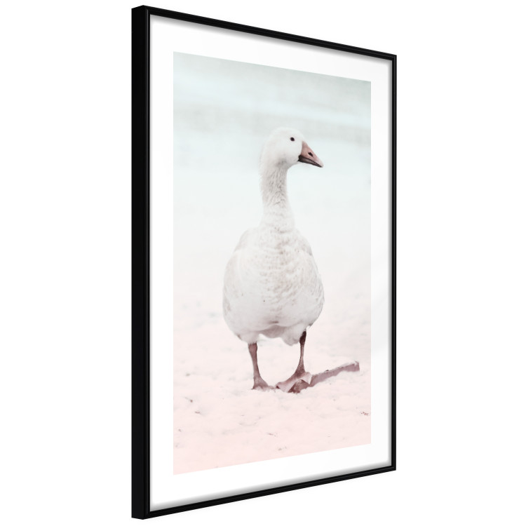 Wall Poster Winter Duckling - white duck walking on sand in winter colors 124949 additionalImage 11