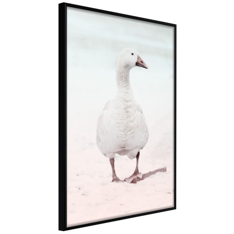 Wall Poster Winter Duckling - white duck walking on sand in winter colors 124949 additionalImage 10