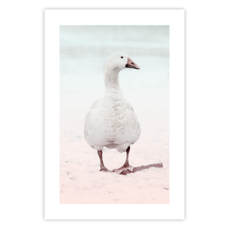 Wall Poster Winter Duckling - white duck walking on sand in winter colors 124949 additionalImage 19