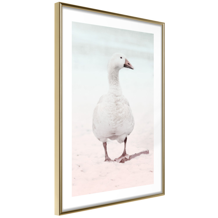 Wall Poster Winter Duckling - white duck walking on sand in winter colors 124949 additionalImage 6