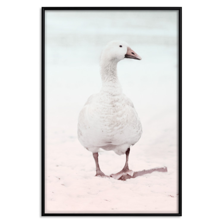 Wall Poster Winter Duckling - white duck walking on sand in winter colors 124949 additionalImage 18