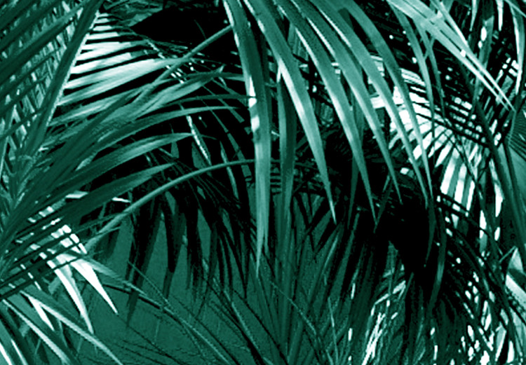 Wall Poster Turquoise Lagoon - tropical palm landscape in turquoise contrast 134449 additionalImage 5
