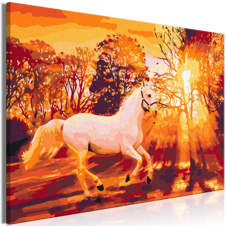 Paint by number Autumn Horse 138149 additionalImage 5
