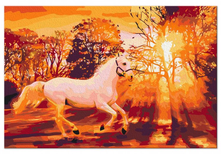 Paint by number Autumn Horse 138149 additionalImage 3