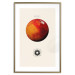 Poster Mars - Red Planet and Abstract Composition With the Solar System 146249 additionalThumb 14