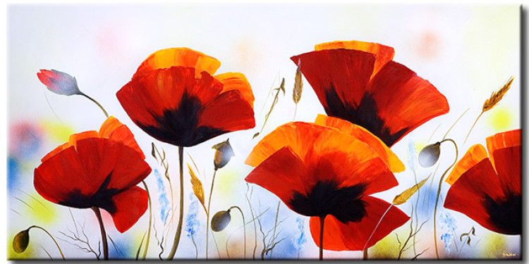 Canvas Print Morning poppies 47149