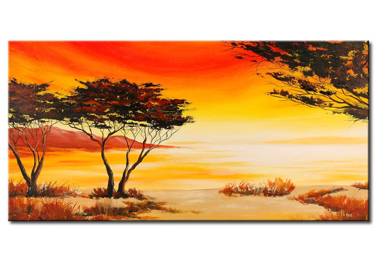 Canvas African space 49649