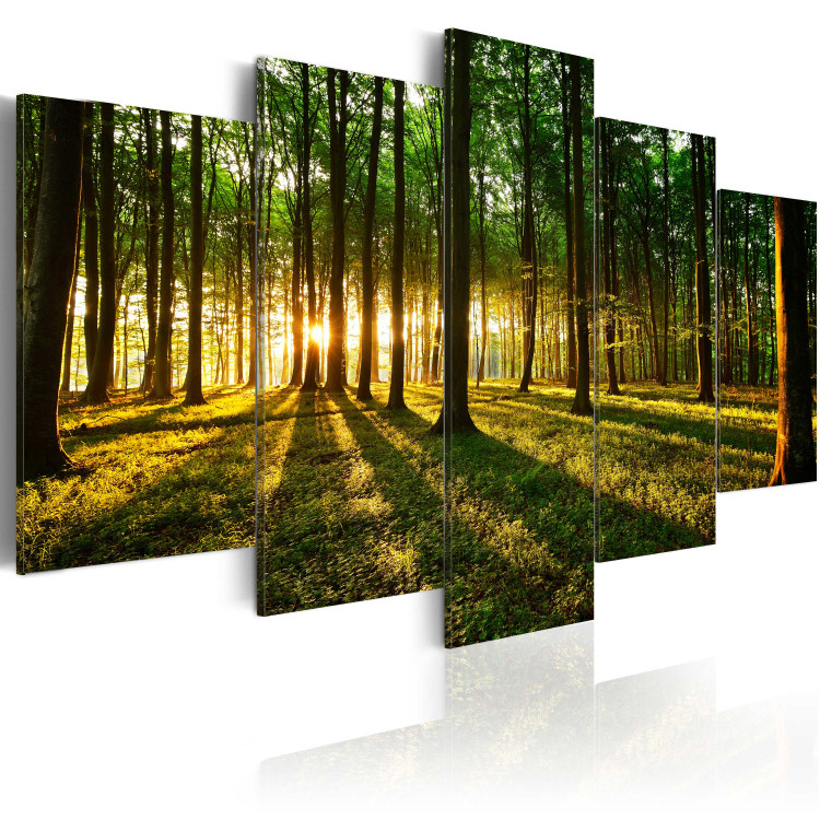 Canvas Art Print Adventure in the woods 50049 additionalImage 2