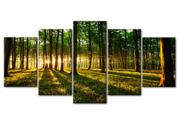 Canvas Art Print Adventure in the woods 50049