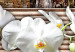 Canvas Art Print Zen: white orchid 55749 additionalThumb 5