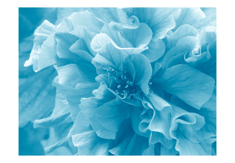 Photo Wallpaper Blue Azaleas - Close-up of Flower Petals in Bright Colours 60449 additionalImage 1