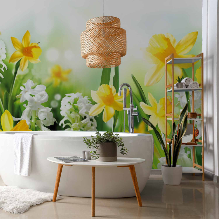 Photo Wallpaper Spring Stroll - Meadow with Yellow and White Daffodils on a Blurred Background 60749 additionalImage 8
