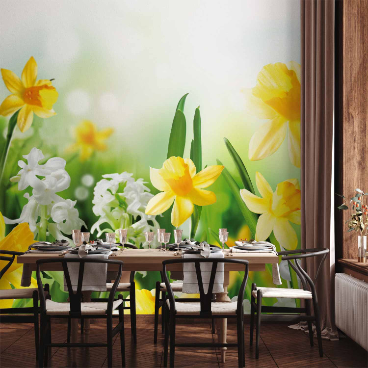 Photo Wallpaper Spring Stroll - Meadow with Yellow and White Daffodils on a Blurred Background 60749 additionalImage 6