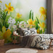 Photo Wallpaper Spring Stroll - Meadow with Yellow and White Daffodils on a Blurred Background 60749 additionalThumb 2