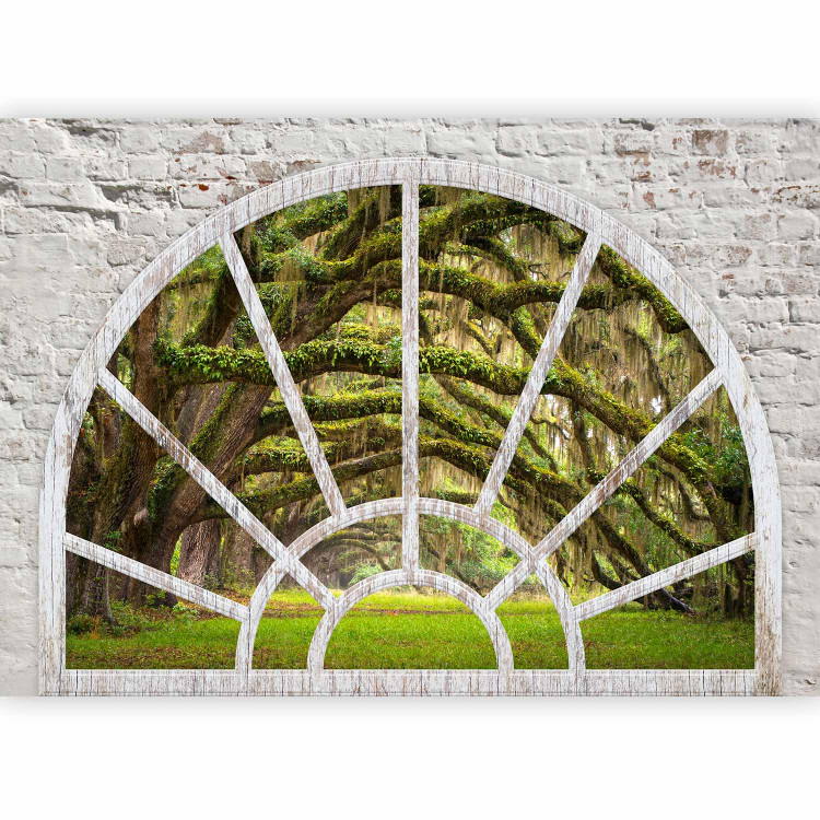 Wall Mural View from the window of nature - landscape of a green forest and a tree covered with moss 62449 additionalImage 5
