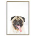 Poster Pug - funny smiling dog with tongue out on white background 114959 additionalThumb 19