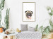 Poster Pug - funny smiling dog with tongue out on white background 114959 additionalThumb 7
