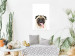 Poster Pug - funny smiling dog with tongue out on white background 114959 additionalThumb 16