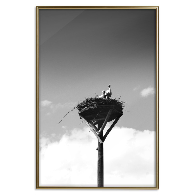 Poster Stork's Nest - photograph of birds in a nest against a sky and clouds backdrop 122359 additionalImage 14