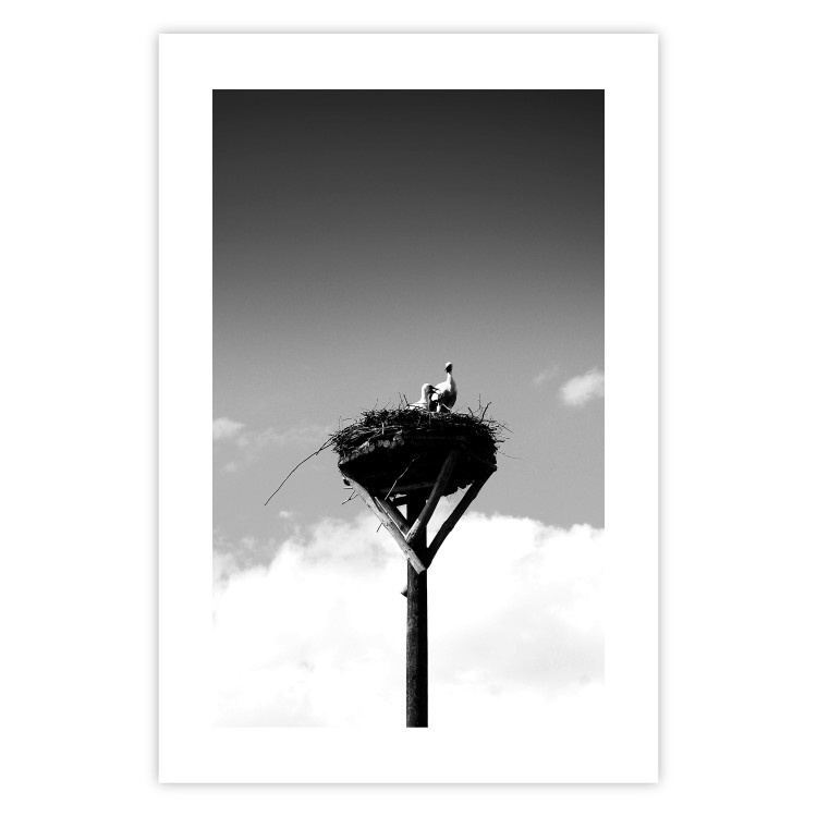 Poster Stork's Nest - photograph of birds in a nest against a sky and clouds backdrop 122359 additionalImage 16