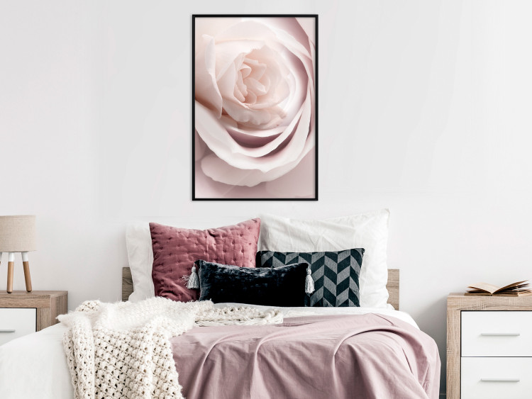 Wall Poster Porcelain Rose - light pink plant with a beautiful fresh rose flower 122859 additionalImage 3