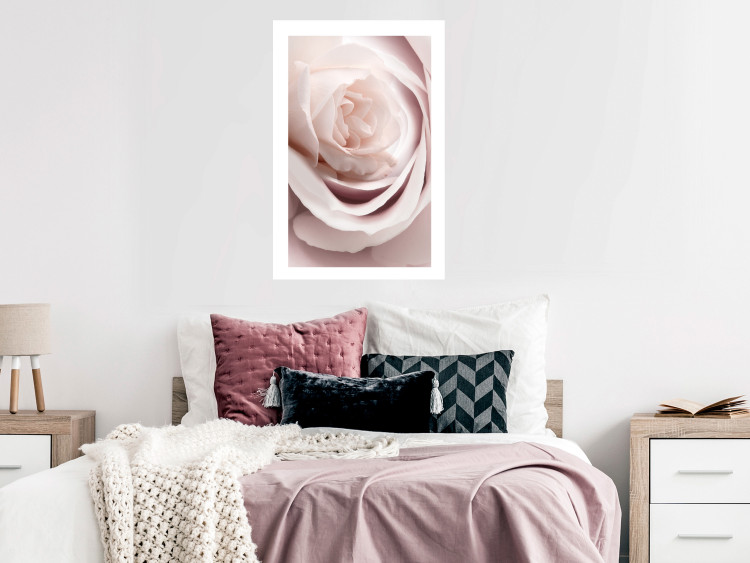 Wall Poster Porcelain Rose - light pink plant with a beautiful fresh rose flower 122859 additionalImage 4