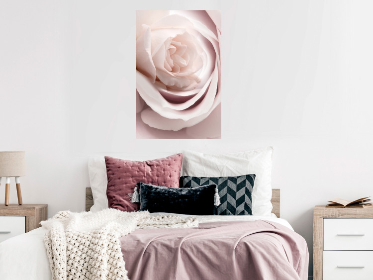 Wall Poster Porcelain Rose - light pink plant with a beautiful fresh rose flower 122859 additionalImage 17