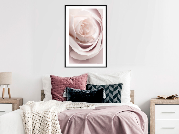 Wall Poster Porcelain Rose - light pink plant with a beautiful fresh rose flower 122859 additionalImage 6