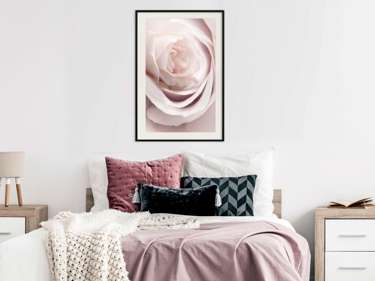 Wall Poster Porcelain Rose - light pink plant with a beautiful fresh rose flower 122859 additionalImage 22